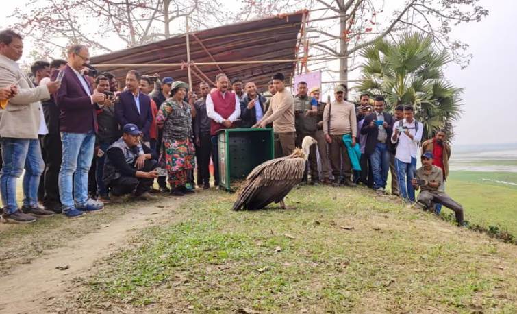 Migratory Birds Count Rises in Kaziranga