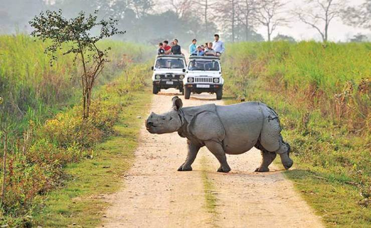 kaziranga national park safari booking online